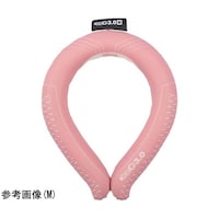 �A�C�X�f�@�R�D�O�@�s���N�@�k�@�h�b�f�R�|