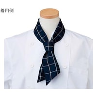 �X�J�[�t�@�l�C�r�[�`�F�b�N�@�t���[�@�`�o