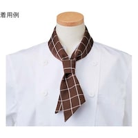 �X�J�[�t�@�u���E���`�F�b�N�@�t���[�@�`�o