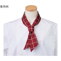 �X�J�[�t�@���C���`�F�b�N�@�t���[�@�`�o�j