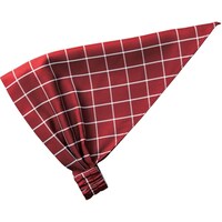 �o���_�i�L���b�v�@���C���`�F�b�N�@�t���[