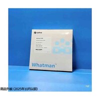 �N���}�g�O���t�B�[�p�y�[�p�[�p�^�i�P�@�b