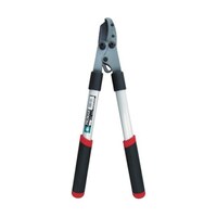 �n�l�R�O�O�@���N����~�j���}����