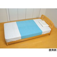 �e�C�R�u�h���V�[�c�@�r�d�O�P