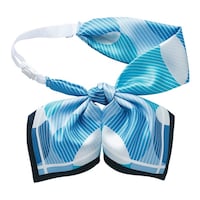 �d�m�i�n�x�@���{���X�J�[�t�@�u���[�@�d�`