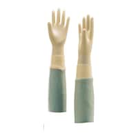 �T���R�[�����O�@�R�O�U�Q�O�@�r�@�ŋۍρ@