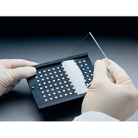 �l�`�b�k�O�X�U�O�O�@�l�t�k�s�h�r�b�q�d�d