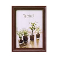 �t�H�g�t���[���@�e���A�R�@�Q�k�T�C�Y�@�P�ʁ@�u���E���@�e�v�s�q�R�|�a�q�Q�k�P