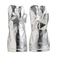 �ՔM�ی��R�{�w��܁@�t���[�T�C�Y�@�r�k�`�|�s�R