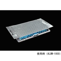 �A���~�i�V�[���@�P�i�P�O�O�����j�@�`�k