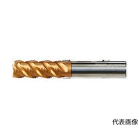 ���\���e���H�p���t�B���O�G���h�~���i�˂�