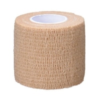 �������e�͕�с@���F�@�T�D�O�����@�P�Q��