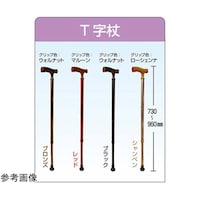 �A���~�L�k�s����E�x�[�V�b�N�@�u���b�N�@