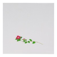 �p�j�k�P�O�R�@�ց@�n�r�|�P�W�|�P�O