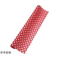 �J���[�s�D�z�@�h�b�g�@�ԁ@�X�T�O�~�T�O�O