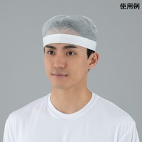 �w�����b�g�p�C���i�[�@�f�B�X�|�L���b�v�@