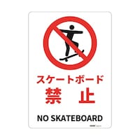 ��ʕ\���@�X�P�[�g�{�[�h�֎~�@�Q�T�S�~�R�T�U�����@�i�Q�T�W�V�|�o�l