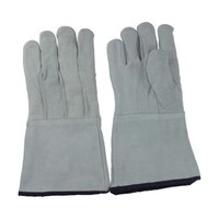 �S�W�T�@�����v���ȗn�ڂT�{�w���