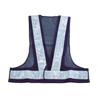 �Ԑ��ݓ_�łk�d�c�t���S�x�X�g�@�l�C�r�[