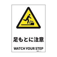 �i�h�r�K�i���S�W���X�e�b�J�[�@�����Ƃɒ�