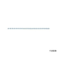 �s�a�b�a�S�O�P�O�`�@�^�J�{�[���`�F�[��