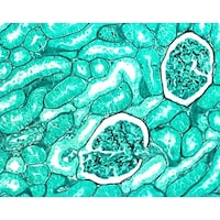 �P�D�O�V�X�U�P�D�O�P�O�O�@�G���e�����j��