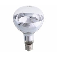 �P�S�O�R�Q�P�Q���t���N�^�[�����v�R�O�O�v