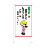 �O�X�V�P�O�U�@�C���X�g�W��