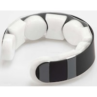 �A�C�X�f�@�G�A�[�����O�@�l�@�X�P���g���X