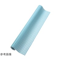 �J���[�s�D�z�@�M���K���`�F�b�N�@���@�X�T