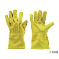 �e�b�f�k�@�L�����v�p�@�����v�w�D���