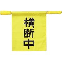 �d�q�z�C�b�X���t�����f���@�R�U�T�R�S