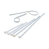 �C�[�W�[�����|�X�^�C���V�D�U�����~�Q�O�R