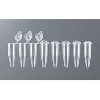 �o�b�q�p�L���b�v�t���W�A�`���[�u�@�O�D�Q