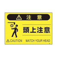 �e�r�S�P�@�u���W���u���㒍�Ӂv