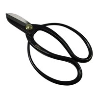 �×����@�S�|�@�P�U�T�����@�m���D�V�Q�T�O�P�U