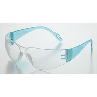 �q���p�ی�߂��ˁ@�y�ʃ��f���@�P���i�P�O