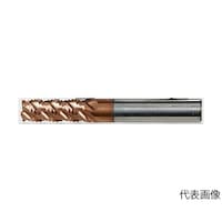 ���\���e���H�p���t�B���O�G���h�~���i�˂�