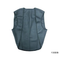 �s�`�s�v�a�w�k�@�_�u���x�X�g�@�w�k�T�C�Y