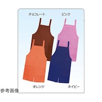 �V���[�g�G�v�����b�@�l�C�r�[�@�e�q�|�T�W