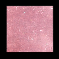 �p�j�h�k�W�O�R�@���~�g�~�F�P�T�����p