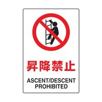 �s�W�O�Q�P�Q�P�@�W���@���~�֎~