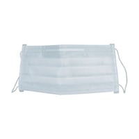 �s�r�v�l�T�O�@�傫�ȃ}�X�N�@�T�O����