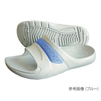 �k�r�|�R�^�u���[�^�S���@�y�҂��T���_��