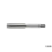 �s�g�s�R�S�v�P�O�R�@�n���h�^�b�v�@�d��