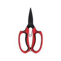 �`�X�Q�P�@�t�b�f�R�[�e�B���O�A����