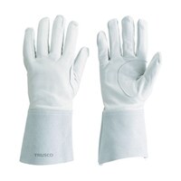 �A���S���n�ڗp�T�{�w��܁@�s�x�`�|�s�T