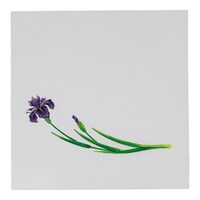 �p�j�k�O�V�P�@����߁@�n�r�|�P�Q�|�V