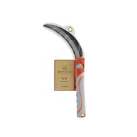 �Q�O�V�V�X�P�S�@���T�C�N���֐n�����n����