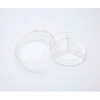 �R����K���X�V���[���@�i��]�_�K���X�j�@